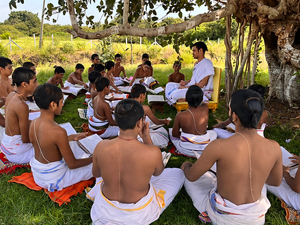 61b573_166f0217cc2046bd9a65a32d26cfc392~mv2