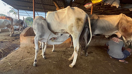 61b573_fc534f2ab3d642bcb1ff617cf247da0a~mv2